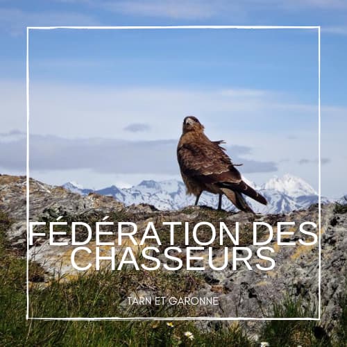 Fédération des chasseurs