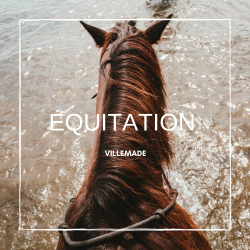 Équitation