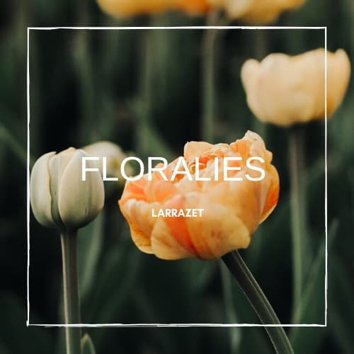 Floralies