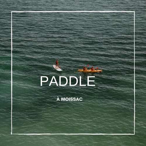 Paddle