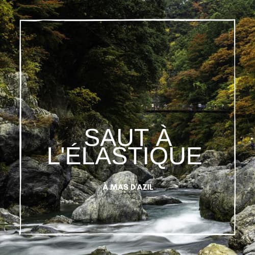 Saut à l'élastique